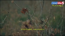 Dirilis Ertugrul - Season 04 Episode 16